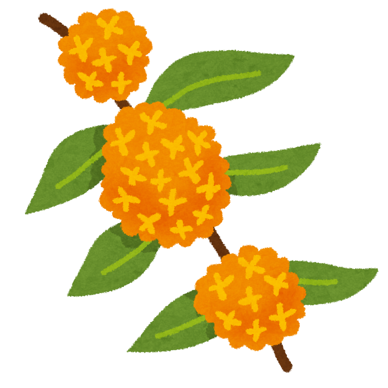 f:id:anopth:20210321170855p:plain