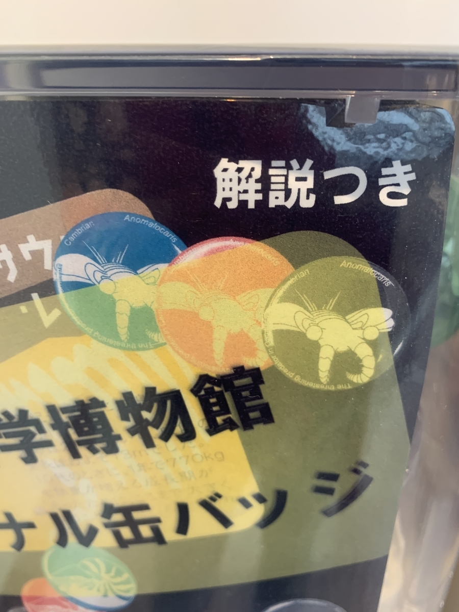 f:id:anopth:20220403232215j:plain