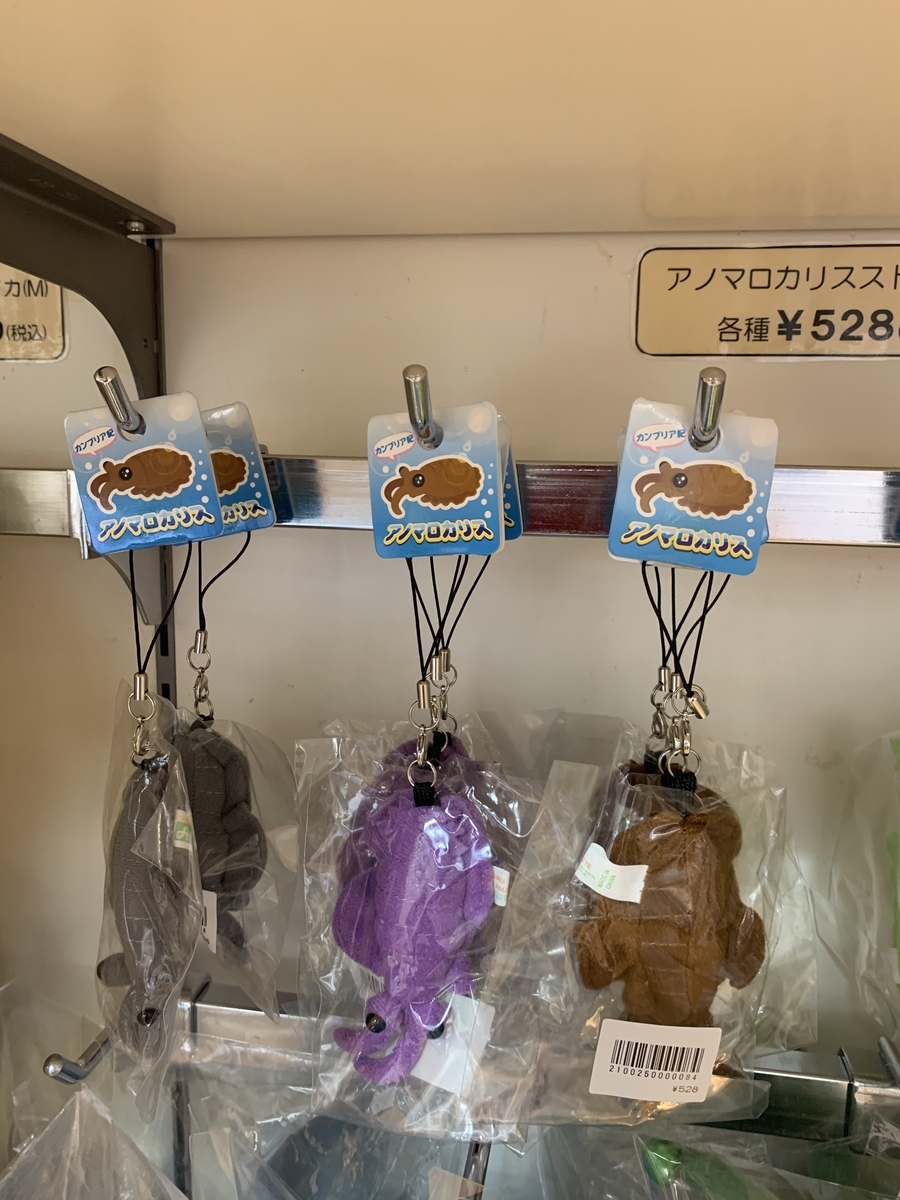 f:id:anopth:20220403234557j:plain