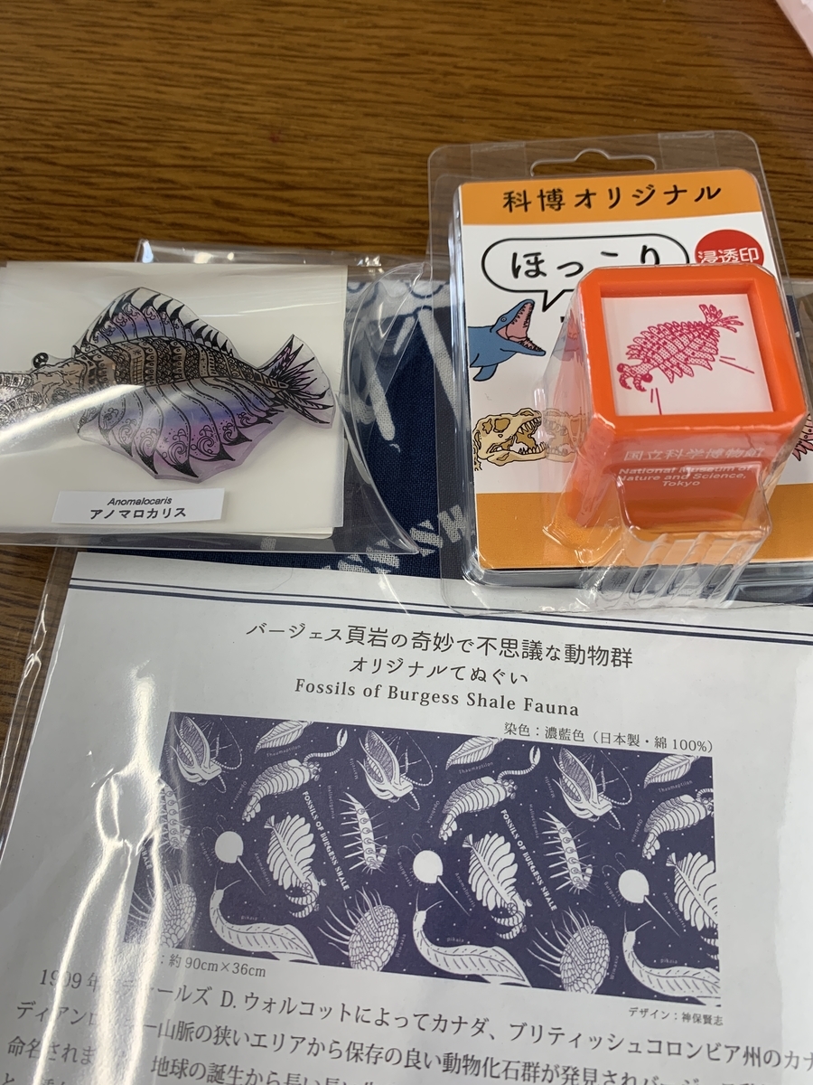 f:id:anopth:20220403234646j:plain
